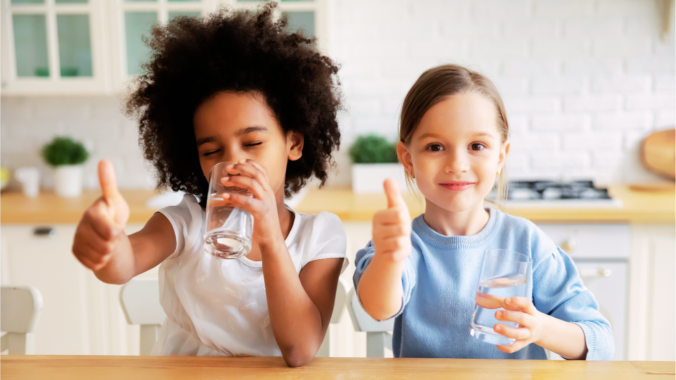 Drinking Water in Portugal and the Netherlands